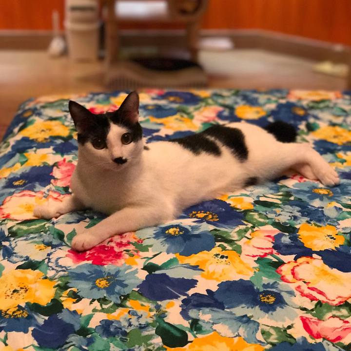 2025b28d 323d 4fb3 ba78 f603d71b4cb9