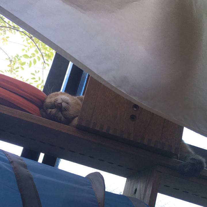 2025ce63 c7ea 43b9 a0bd ad96bb1006bc