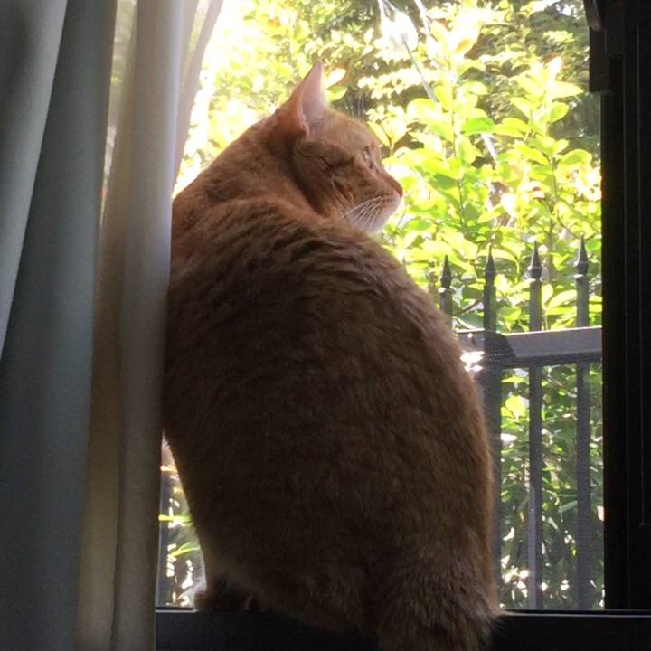 2025e2c0 52c5 4071 9c06 706f0ae9ba62