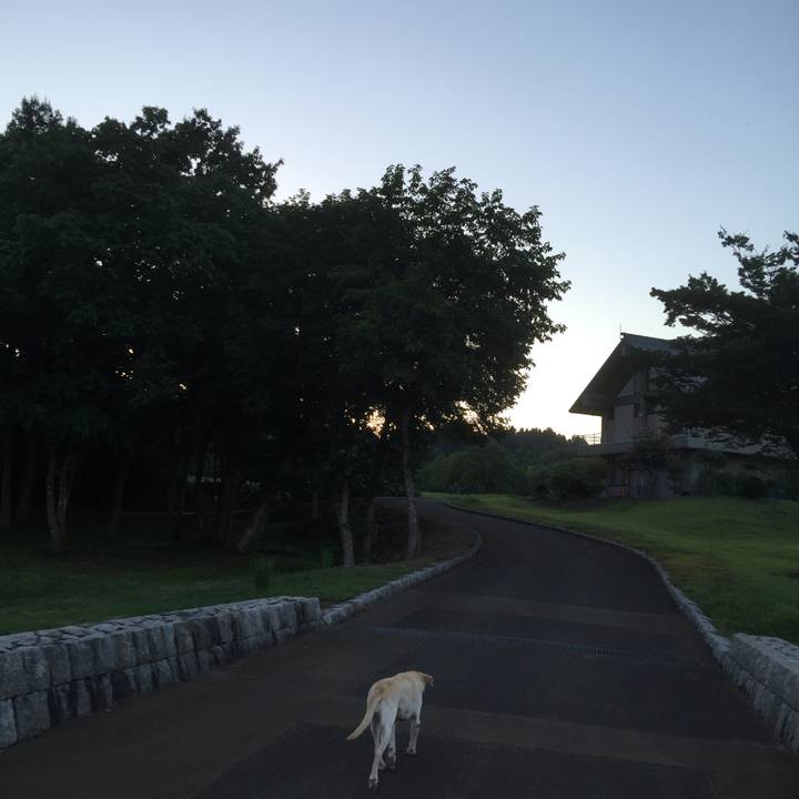 20273e5d a3dc 4277 8b37 d9bc64617ad3