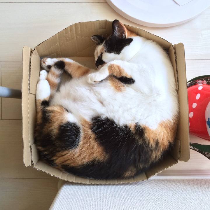 20280190 d220 4c57 80a3 4d4456fd190a