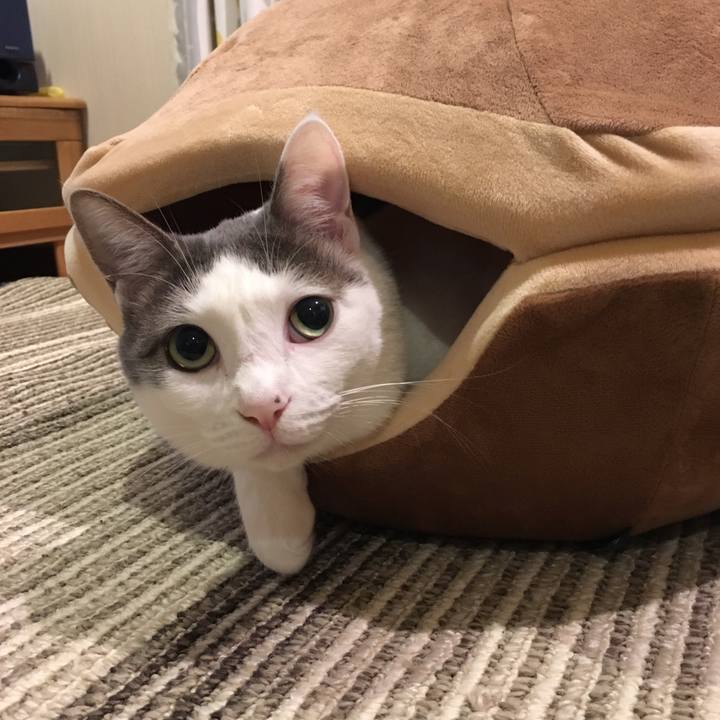 202812bc 14c2 4350 8154 1ebad80d2864