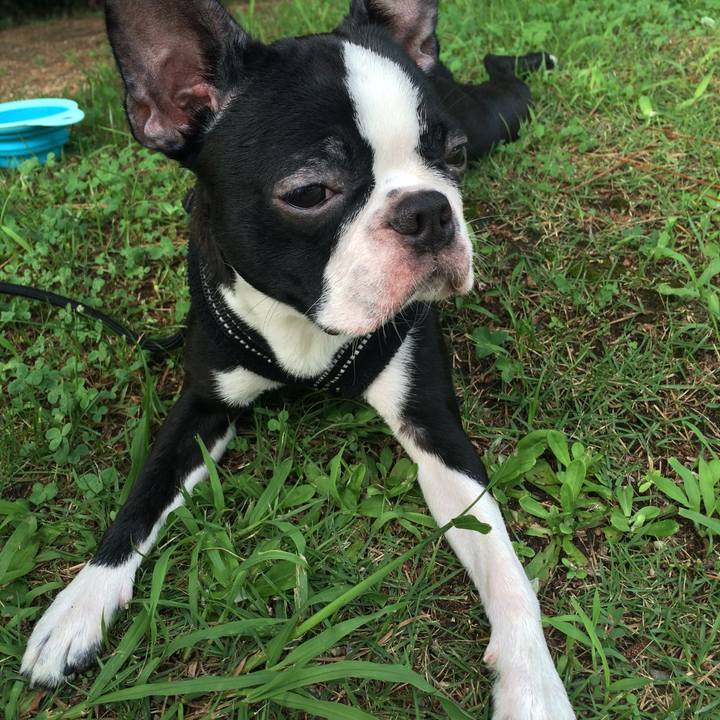 20287590 a7d5 43ac aee7 08bde414cf7e