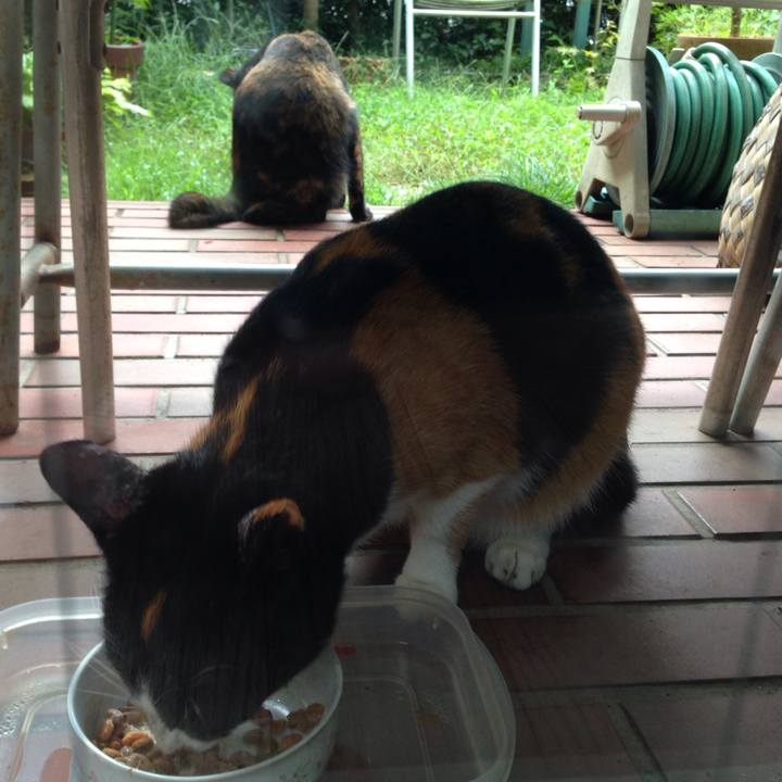 2028eba3 1ee3 42f4 854c f9cd26b60a8a