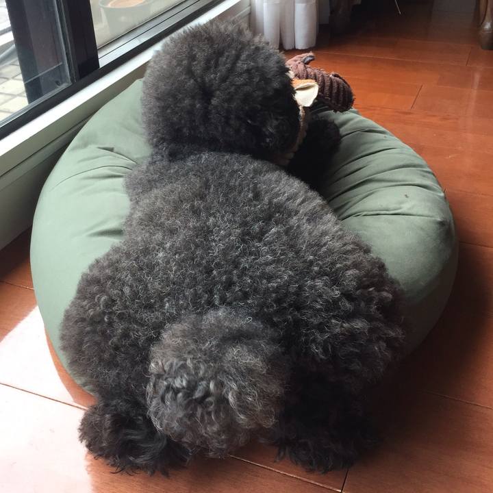 2028f2ac 5e4a 4acd b58b 8e783a9b3a6d