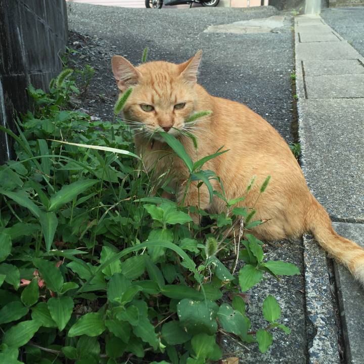 20291812 5775 4185 b40c be7928027cf6