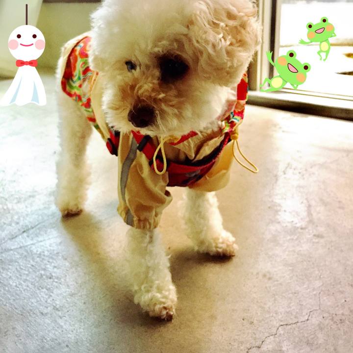 20292187 46f0 4dc9 af29 9eaac12780ac