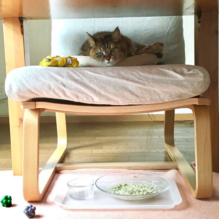 20296ad0 7a6d 4c2d 9658 8bf7a448c891