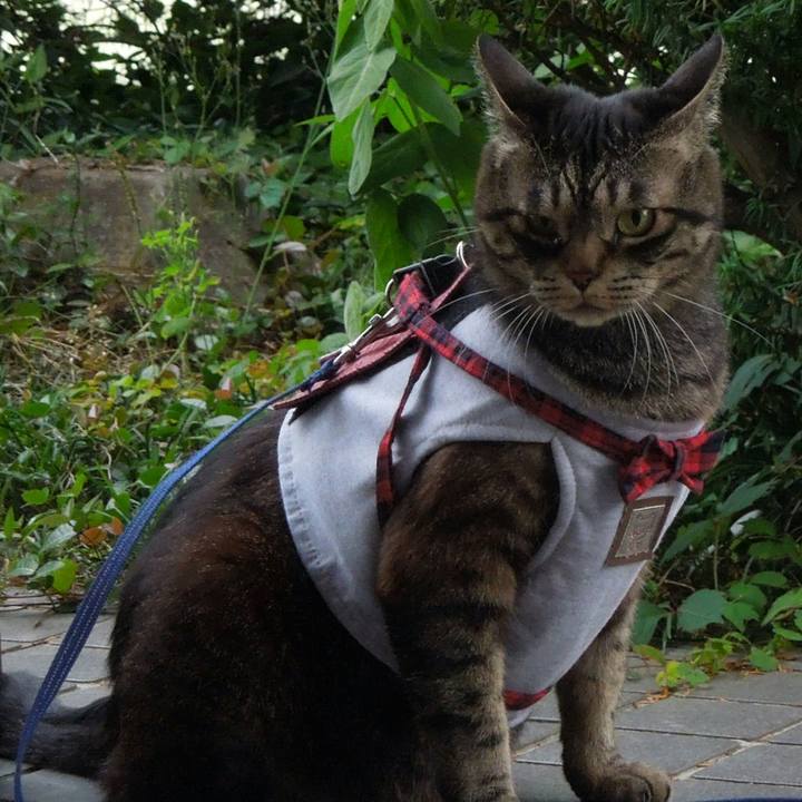 202b60d4 3971 4859 8b05 297d0a91bdb5