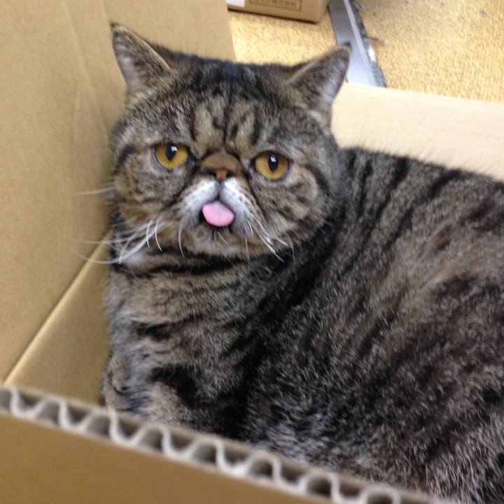 202b99d5 9da9 483c b655 7b88177b1292