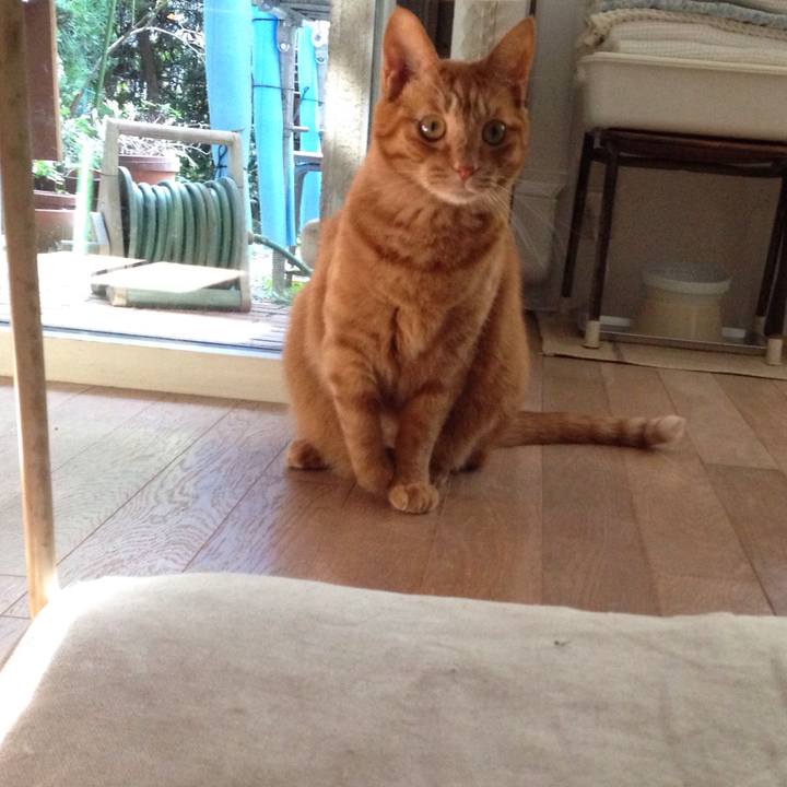 202bc7b5 5f19 4818 8f5b 467cab6b83f7