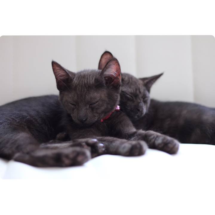 202bea9f 1d92 47a9 a7ce 31b45e28d286