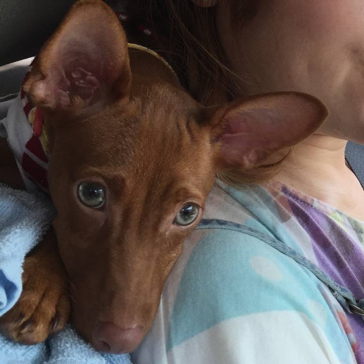 202d5a89 e271 4495 ae85 688427667240