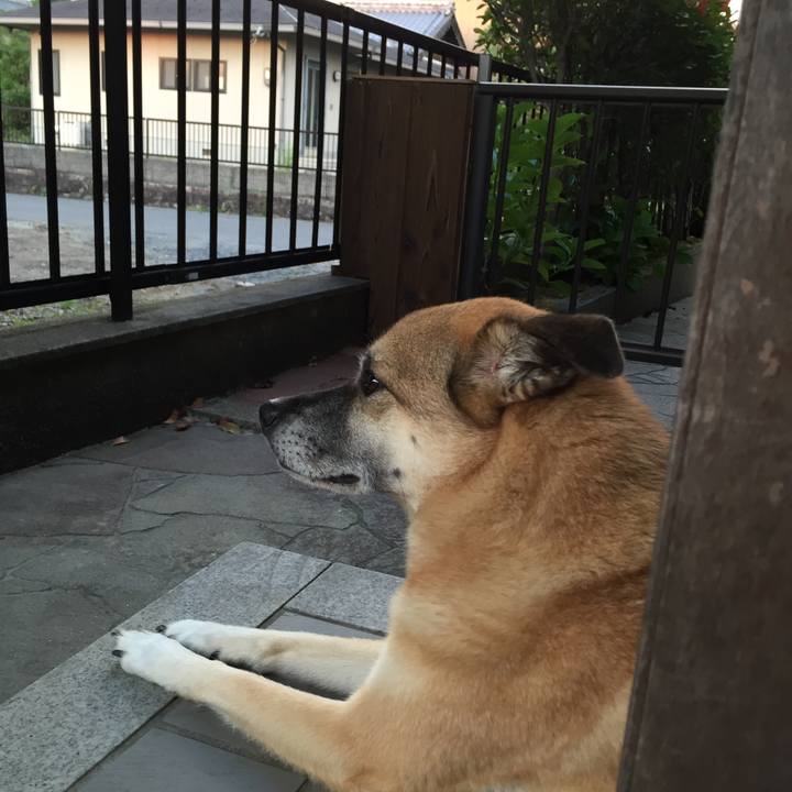 202dc84c e8ab 40aa 9bfb dec689d838cf