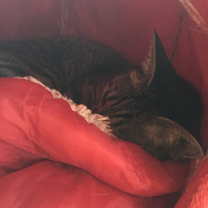 202df9fc ebab 4273 add8 0a0adbeb2bca