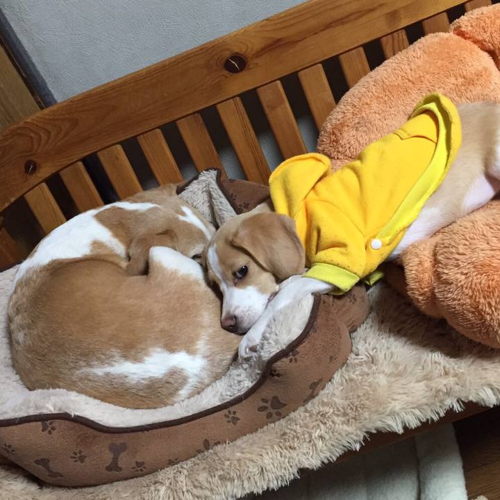 202eb0e6 a4f2 4024 85a8 a934a228ecca