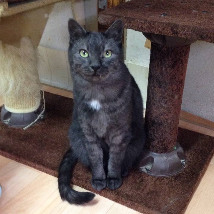 202ecc1a 0ab4 43ed bd60 4c4b9da3d878