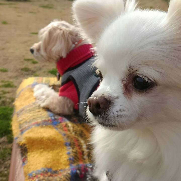 202ee300 bfcc 404f b15f 93ff64db9123