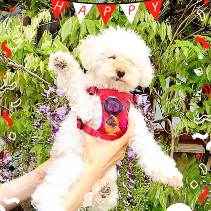 202f15ae 7239 4c4d a649 3f4d489d3826