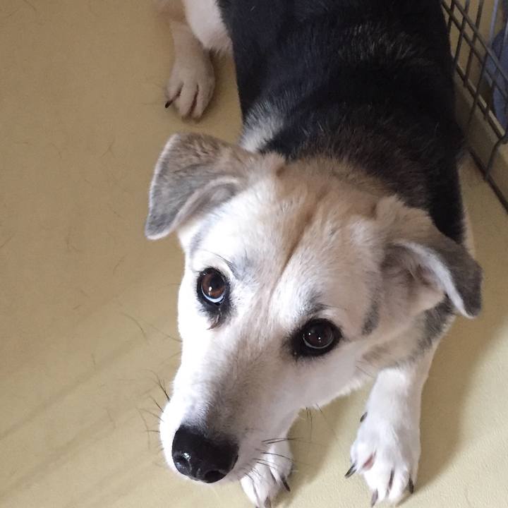 202f793a 52b7 40ca aa0e 0b9c3a0beafe