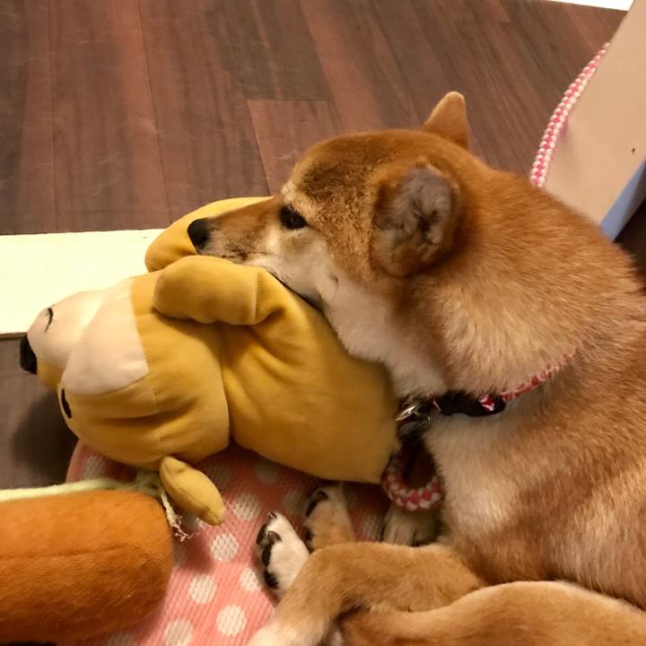 2031060c 06d0 48e3 8ac4 4eb2e6fac6c6