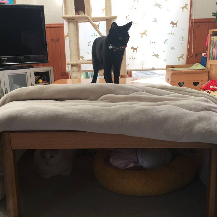 203188c6 08c6 4237 9bcf 88e6eafa219f