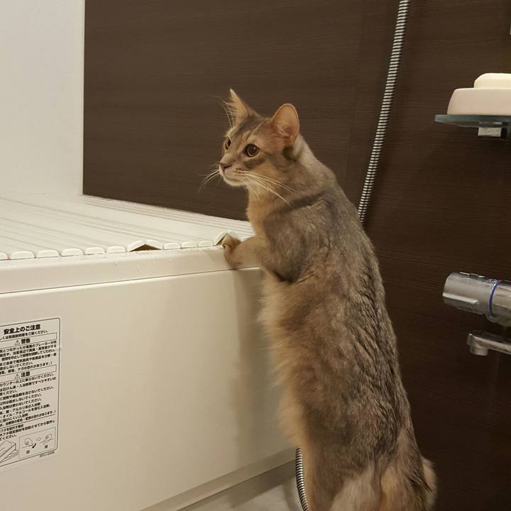 20318a7c e9fc 4399 873a 573080be3933