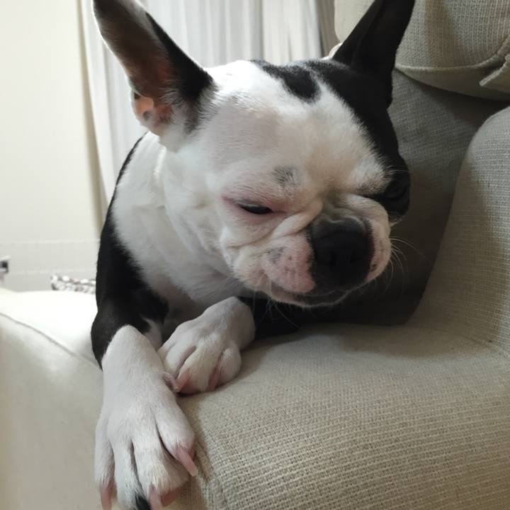 20318edf 55e2 4bca 8c7b 02e6f44564e4