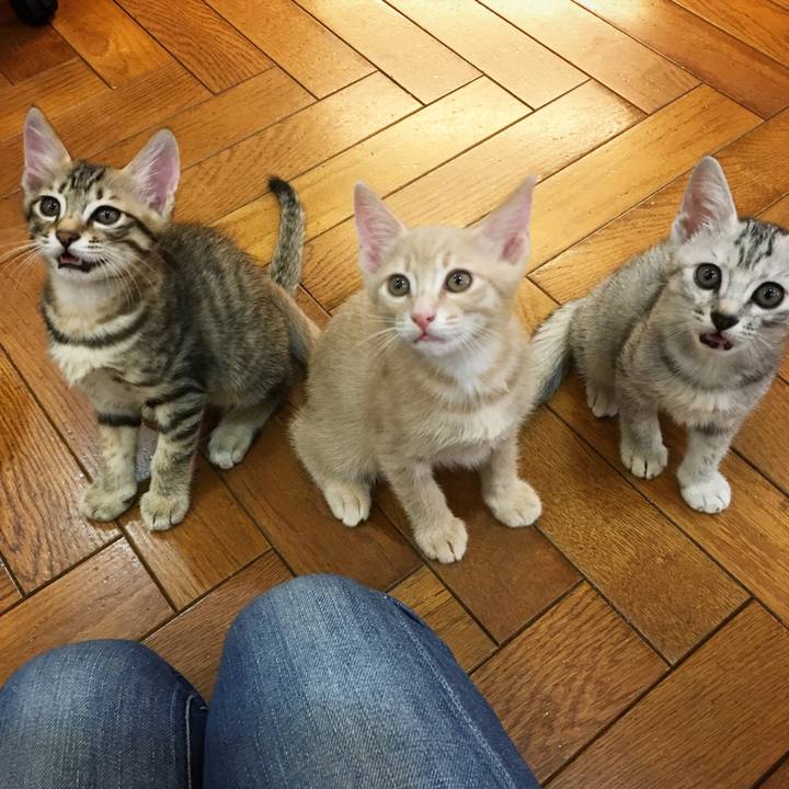 20319267 8d9a 49f9 96d0 452adc061c3a