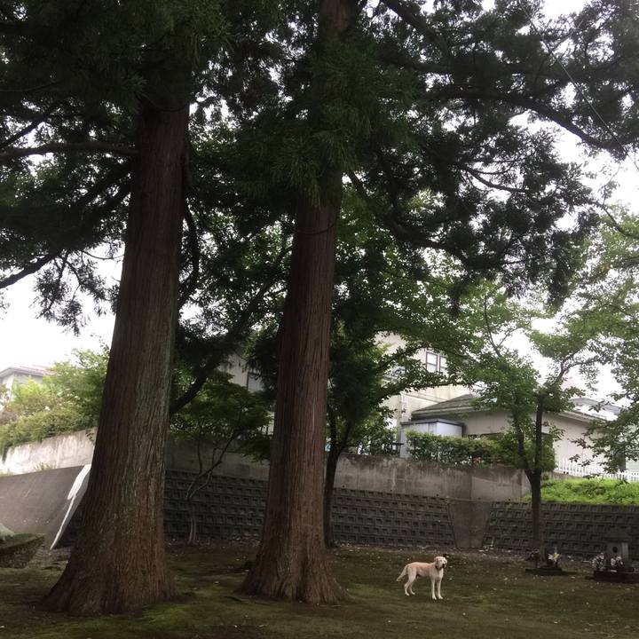 2032aa7c b9e1 4ab4 8c19 1d9c6b52328d