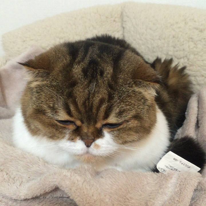 203333e9 66da 4902 bd63 1a79fb659e26