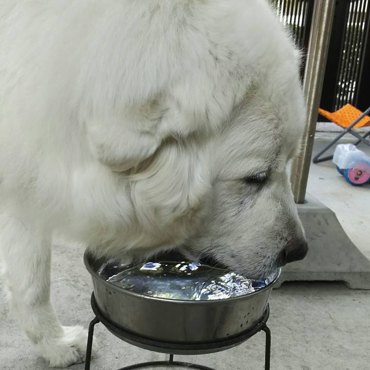 20333ff2 3ed9 4f2c 9975 372203d972ff