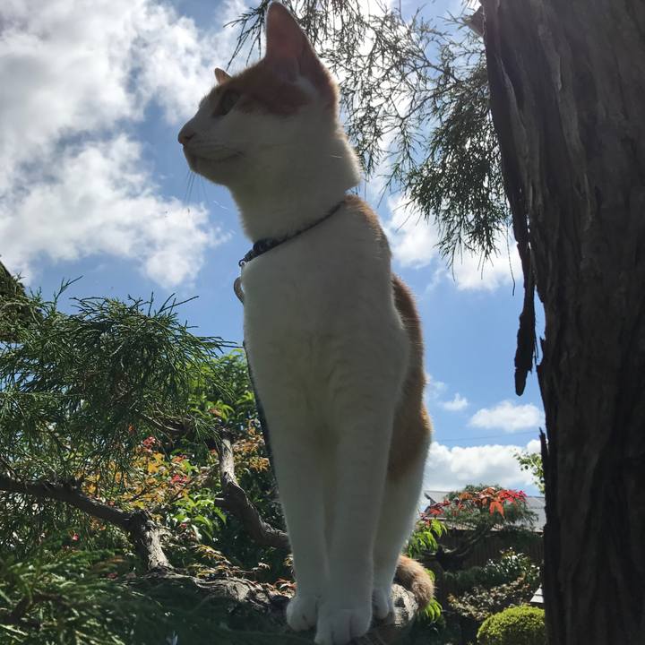 20337ef4 4b10 4f51 87f0 6516cac7b6db