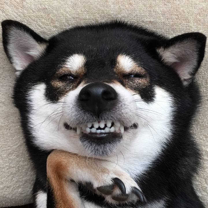 203443be b6d0 4c64 9cea 00475d33030b