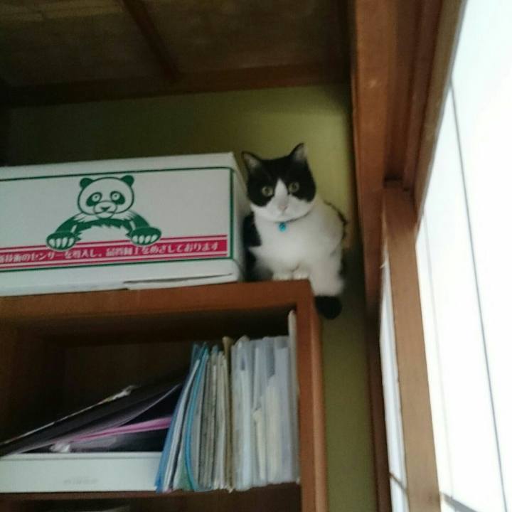 20346442 4384 4745 8076 b9e62d955d74