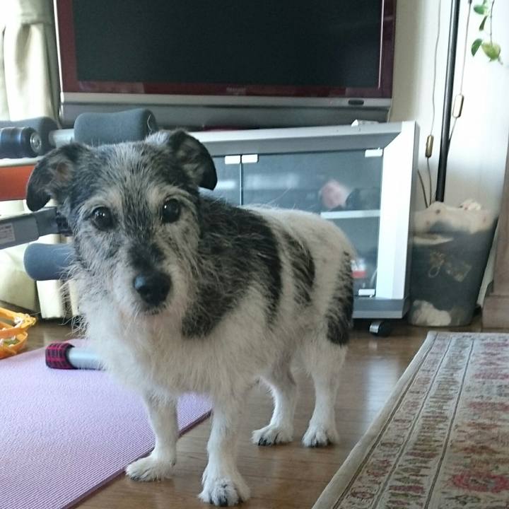 203499c5 ebf6 491c b6e3 b985d02104fa