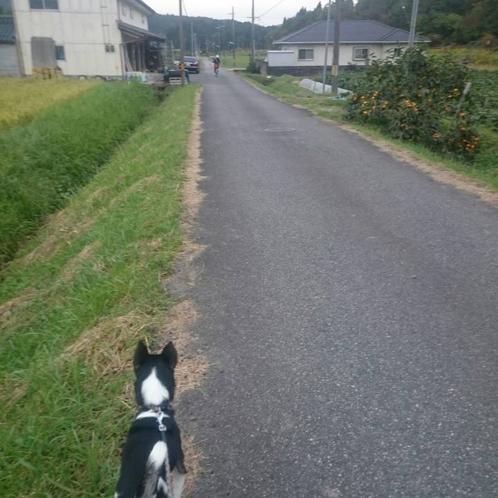 20350710 646a 441f 8e95 00039c28b072