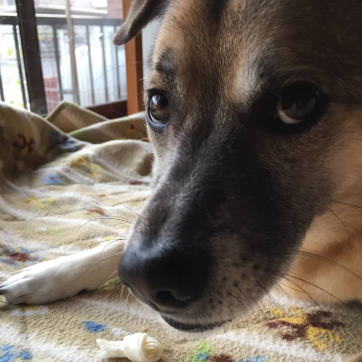 20363399 4789 4cee 9e57 9d4ee20332e8