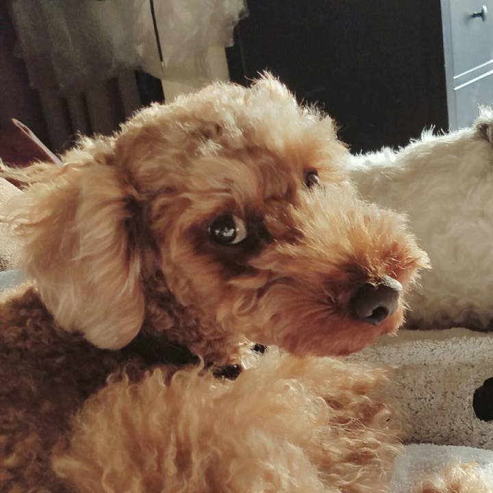 2036b32f b75b 450e af56 8531d7cb54ba