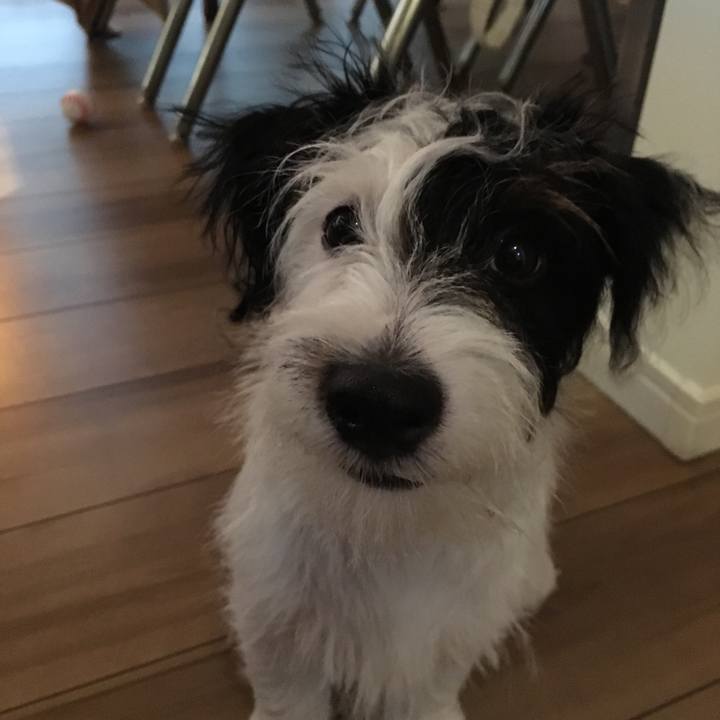 2036ca2f a303 4180 b1bc 259265404cfa