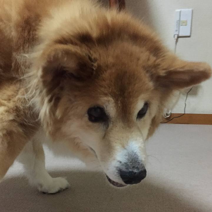 2036cbd4 be2a 4dfa a4cd f7be1b7d780b