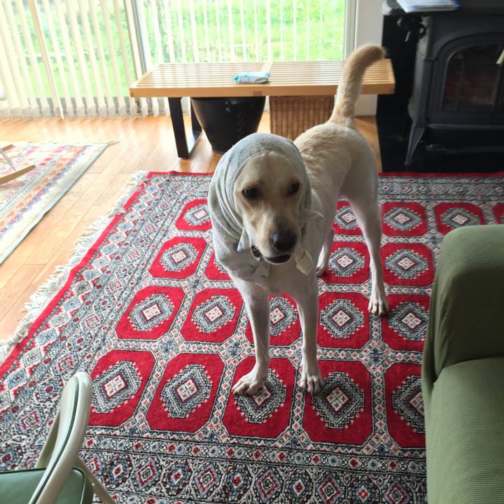 2036f5d5 ce1e 4ee9 ab08 cf28d06dfffd