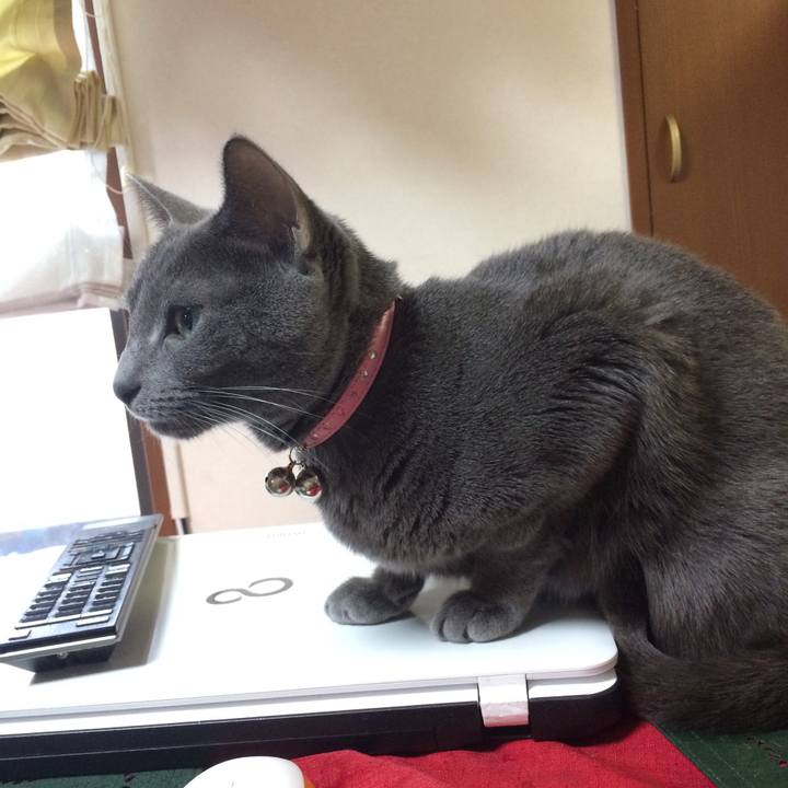 20380b8d ab05 406e acd8 8b81c350aba6