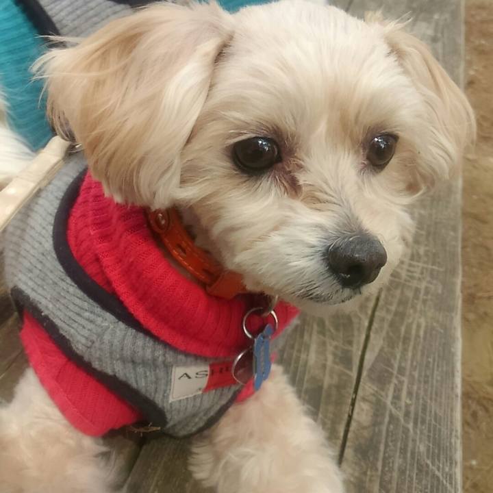 20383ae2 0659 45c2 8cee 8f009f8deafe