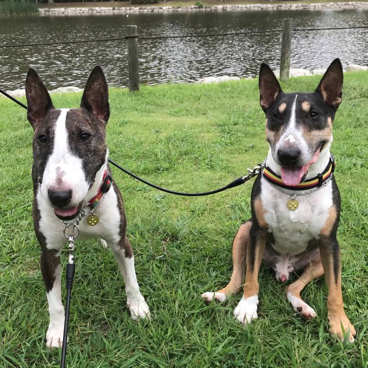 20384a56 01ee 4dec a6ec 2b11bd0cd7be