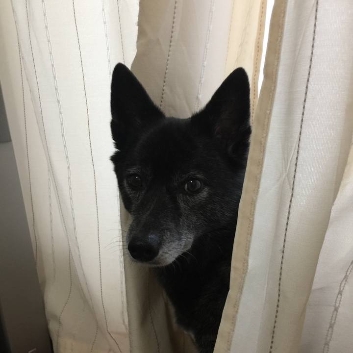 2038725f b767 46fc b062 2873e321c737