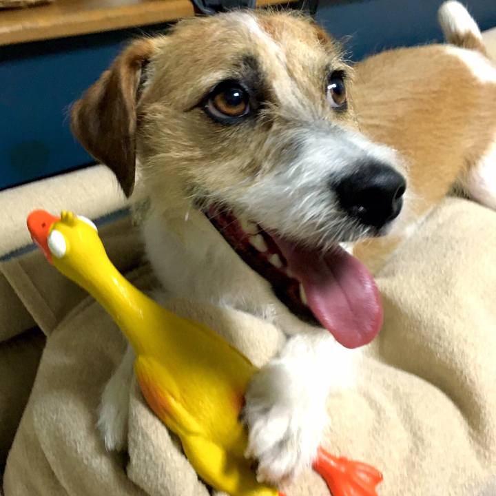 2038a5be 8b94 4e49 9abf e4e6c53d9488