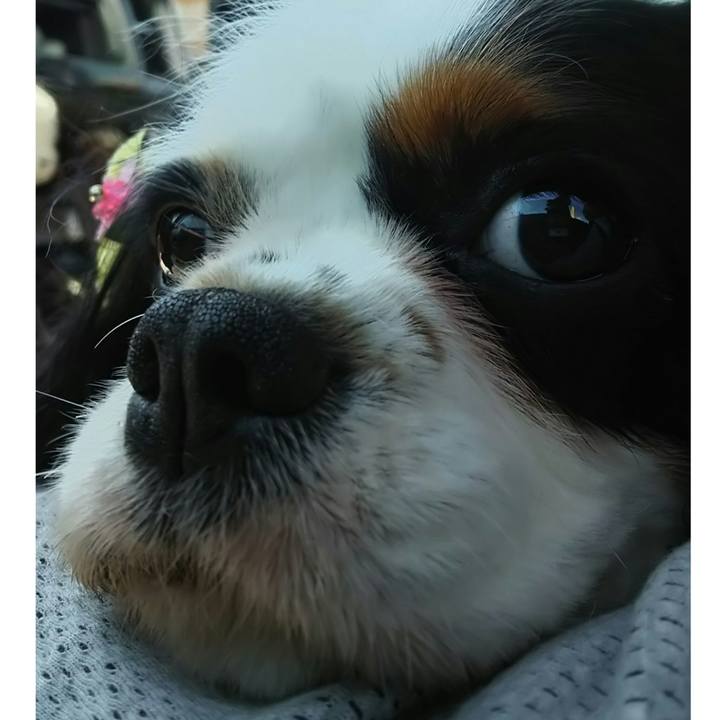 2038e073 0a3c 4f63 b229 aaf04d67efa4