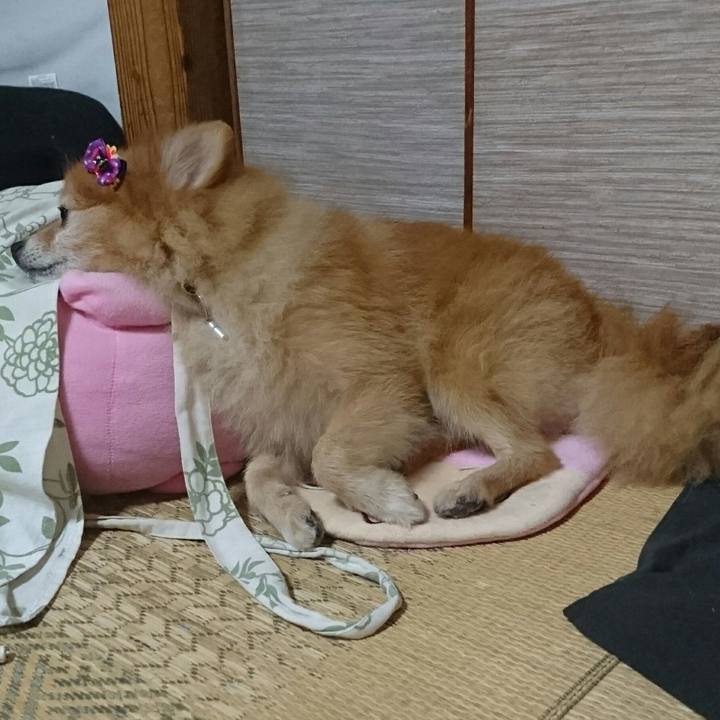 20399f8f cf75 451c 8e3d 8ca5ba30e973