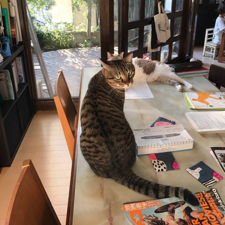 2039bc66 2500 484e 899d 775452832875